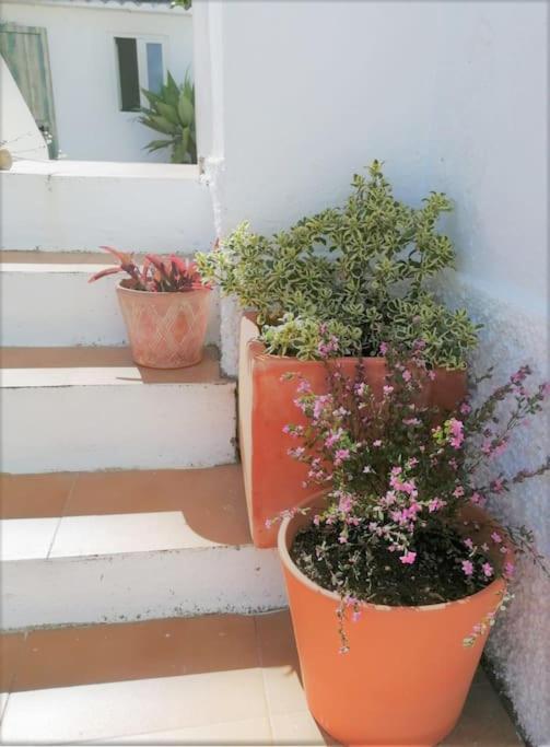 Cozy Apartment With Private Courtyard Barcarena Dış mekan fotoğraf