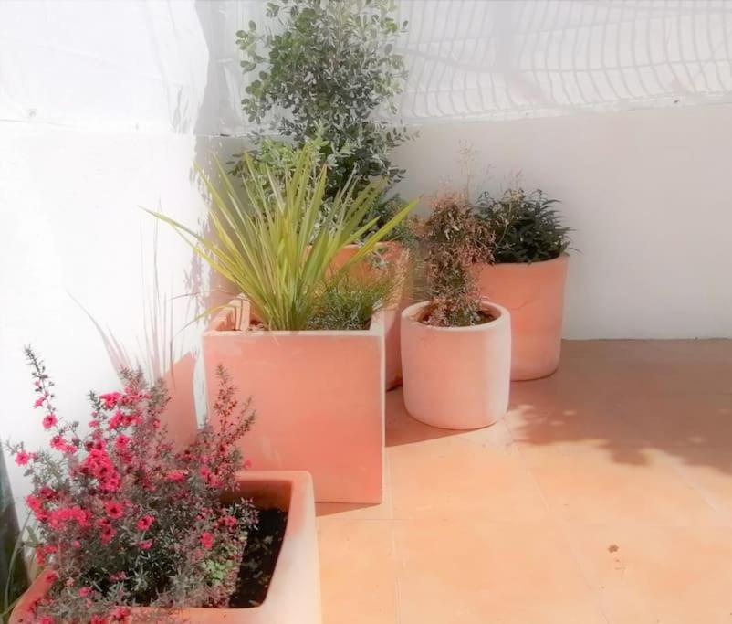 Cozy Apartment With Private Courtyard Barcarena Dış mekan fotoğraf